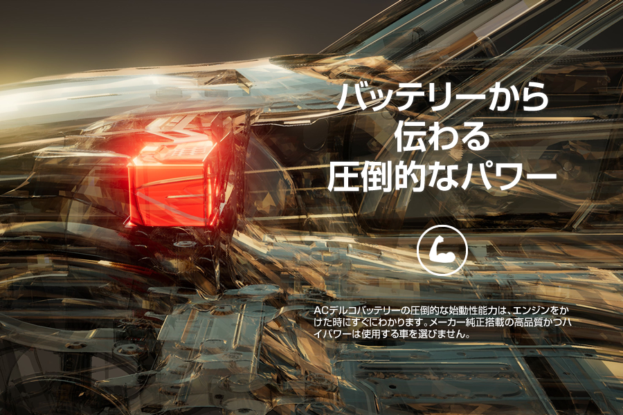 ACDelco（デルコ） LN2｜カーエイドストア